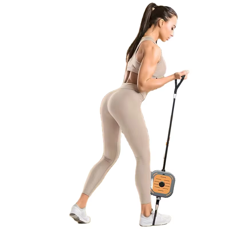 레지스턴스 홈짐 - 지능형 운동 제어 기능을 갖춘 올인 - Home Gym One Machine 리뷰 및 가격