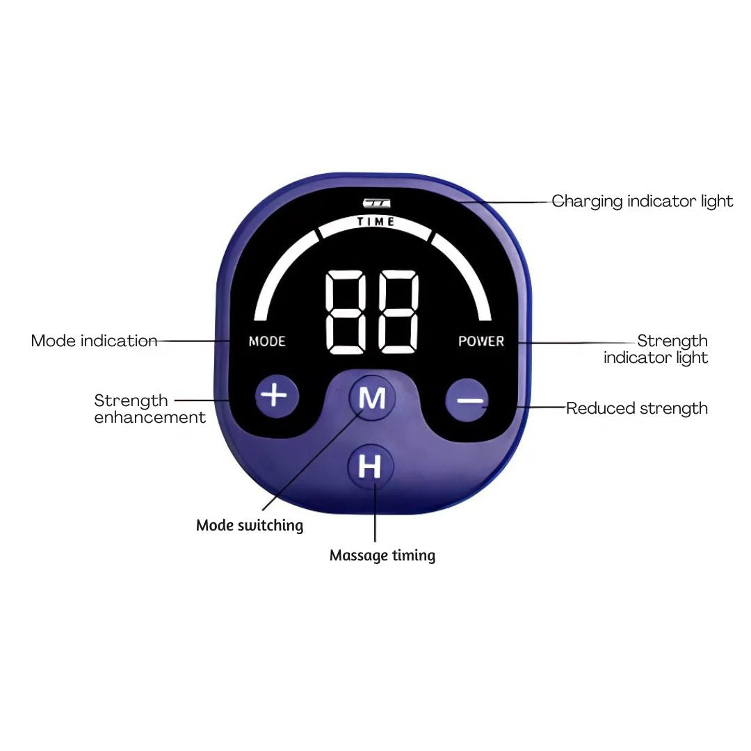 말용 EMS 장갑 전기 근육 자극 마사지기 훈련 후 긴 - Home Gym App 리뷰 및 가격