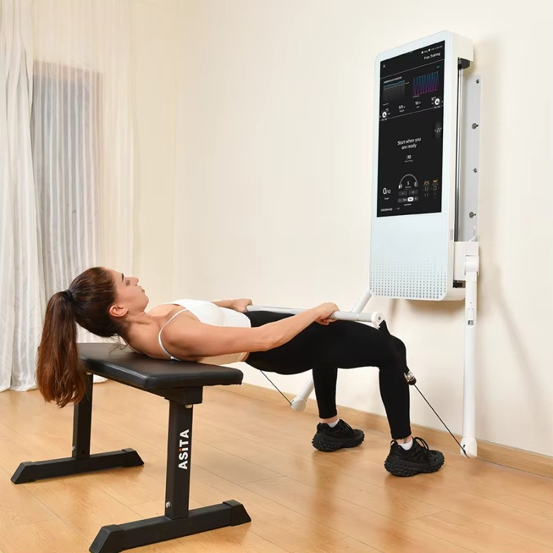 다기능 홈 피트니스 장비: 토날 벽걸이형 스마트 트래킹 - Home Gym Weight Machine 리뷰 및 가격